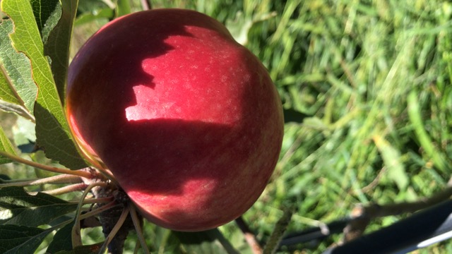 52C65F35-EA4A-4421-8EAC-AE17674ABAD5