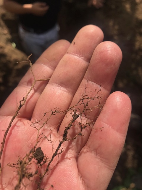 UNADJUSTEDNONRAW_thumb_149b