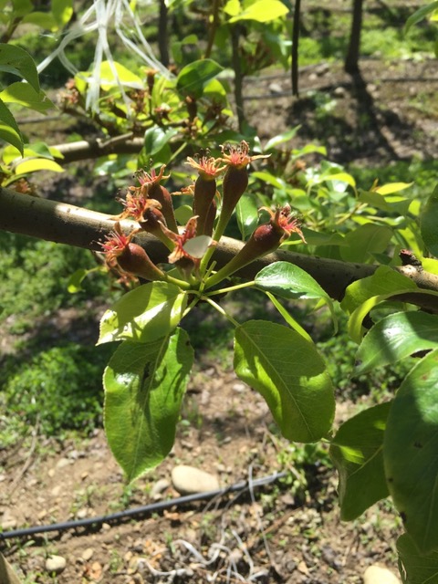 UNADJUSTEDNONRAW_thumb_22f