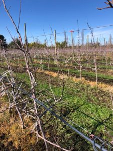 PHOTO-2020-08-07-17-25-44_9