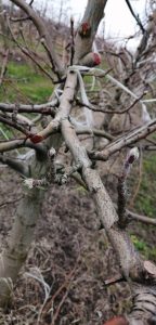 WhatsApp Image 2020-09-03 at 18.02.11 (1)