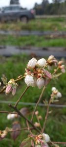 WhatsApp Image 2020-09-10 at 19.41.51 (1)